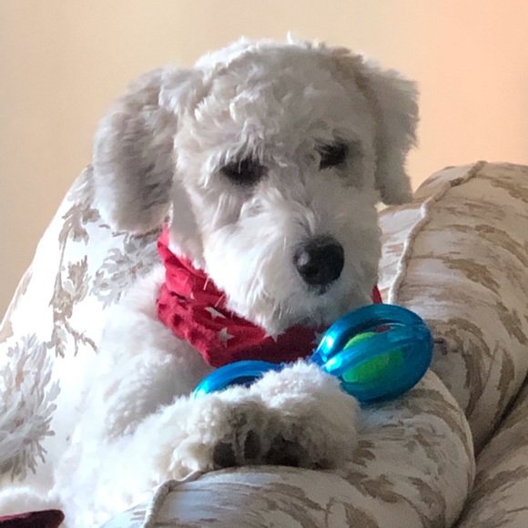 Meet your Posher, Hayley - Picture 15 of 16